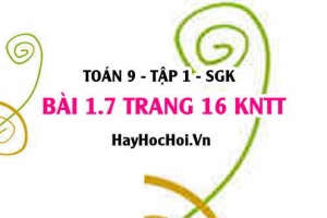 Bài 1.7 trang 16 Toán 9 tập 1 Kết nối tri thức SGK